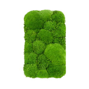 LAADIMISJAAMA VOOL ESIKAAS SAMMAL